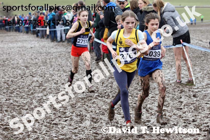 Girls under-13s 2018 British Inter Counties Cross Country Champs., Prestwold Hall, Loughborough. Photo: David T. Hewitson/Sports for All Pics
